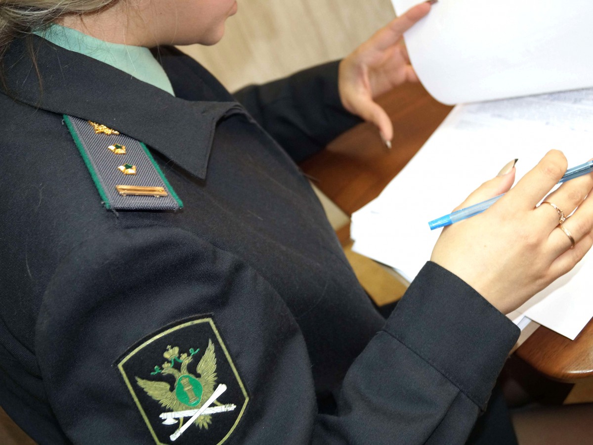 Выксунец задолжал государству 289 тысяч рублей