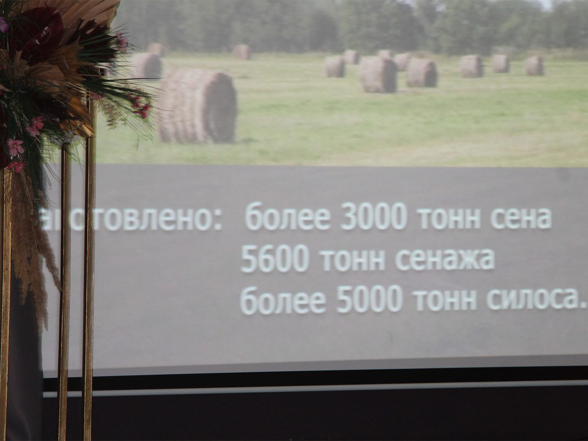 Аграриев поздравили с профессиональным праздником