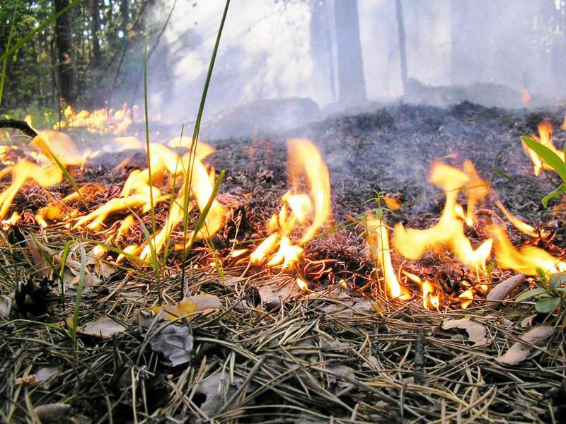В округе введён 4 класс пожарной опасности
