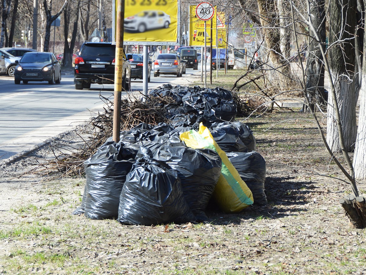Весне дорогу. Чистую