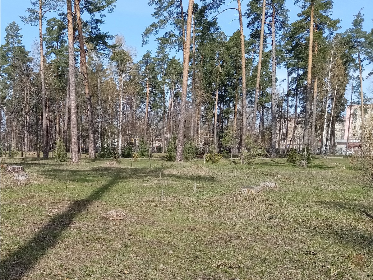 В парке произошёл очередной акт вандализма