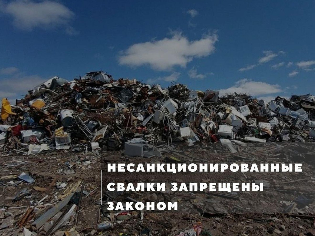 В прошлом году на ликвидацию несанкционированных свалок в Выксе потратили 5 миллионов рублей