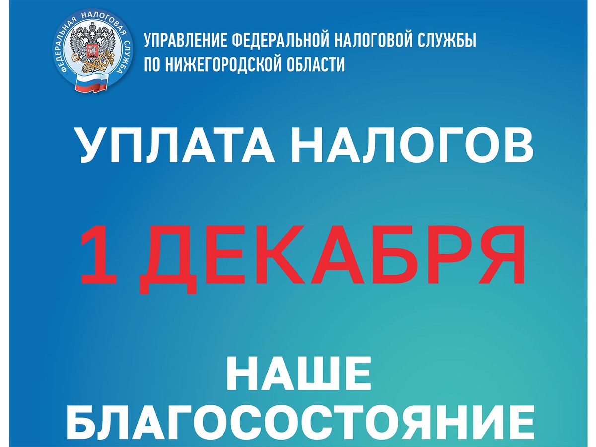 Нижегородцам напоминают о сроках уплаты имущественных налогов