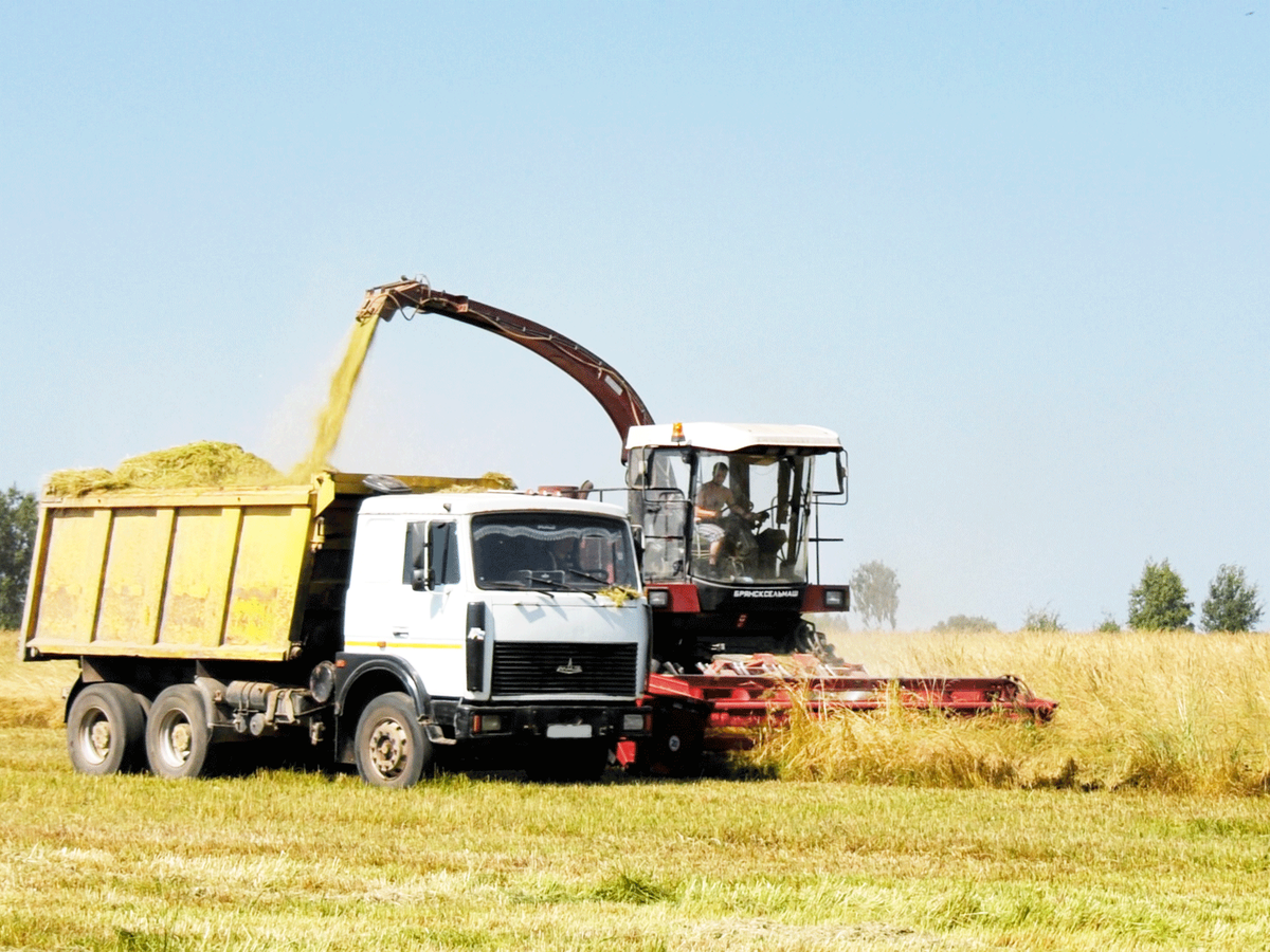 Честь и хвала людям сельского труда