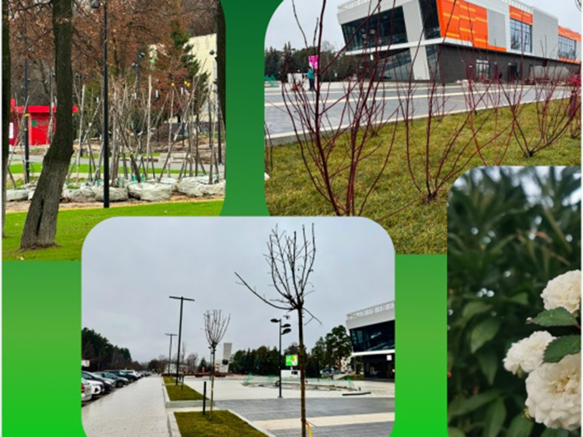 Более 3 200 деревьев и кустарников высажено в округе за год