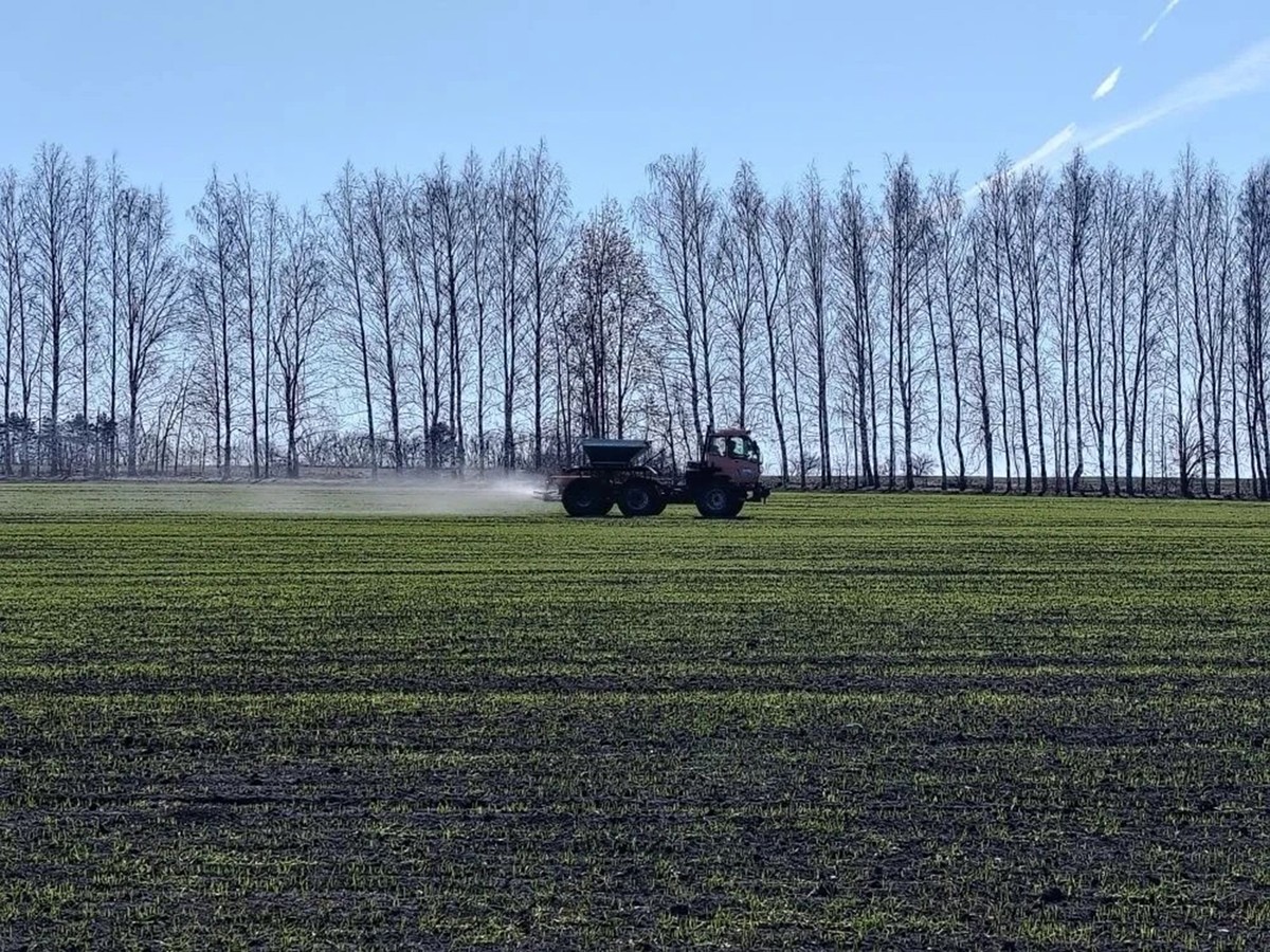 Весенне-полевые работы стартовали в области