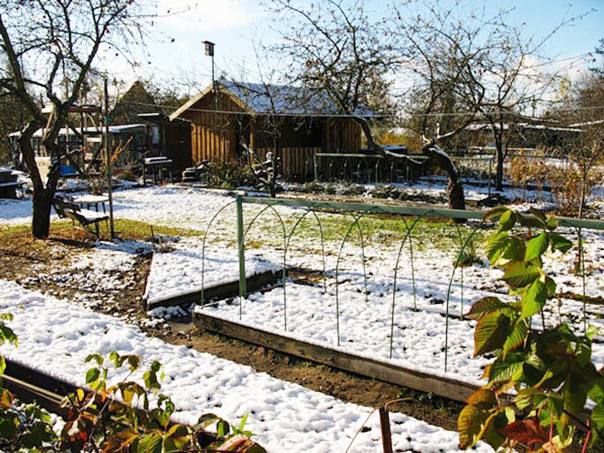 Топ-5 дел, которые необходимо выполнить на участке в конце марта