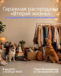 Гаражная распродажа в поддержку приюта «Вторая жизнь»
