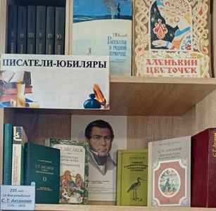 Книжная выставка в честь Всероссийского дня чтения