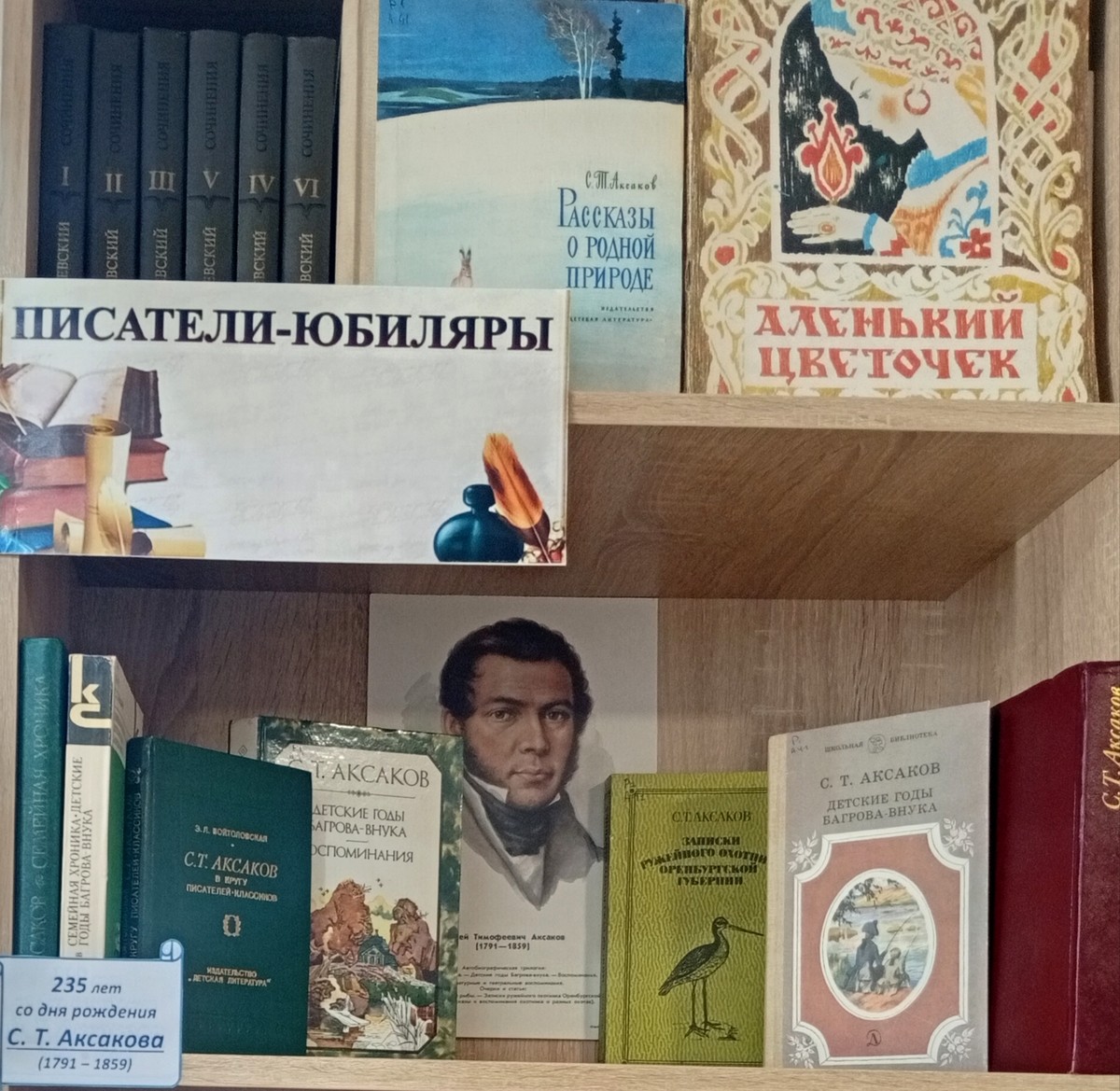 Книжная выставка в честь Всероссийского дня чтения