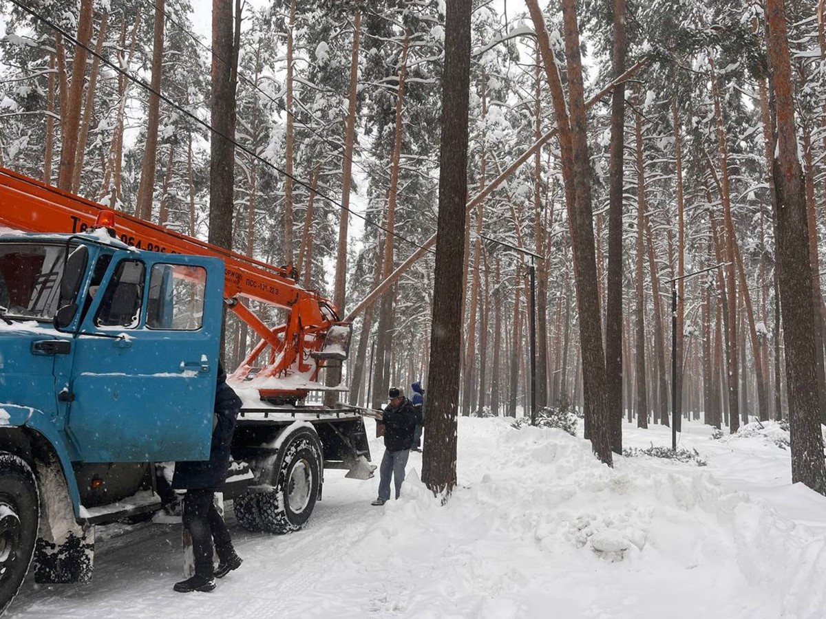 Жителей округа просят временно ограничить пребывание в парке и лесопосадке