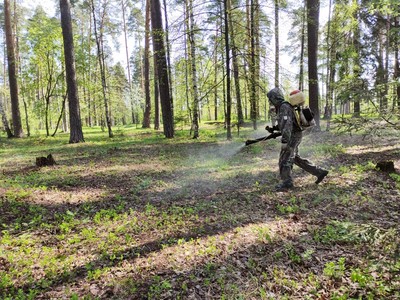 Акарицидная обработка общественных территорий пройдёт в Выксе 28 августа