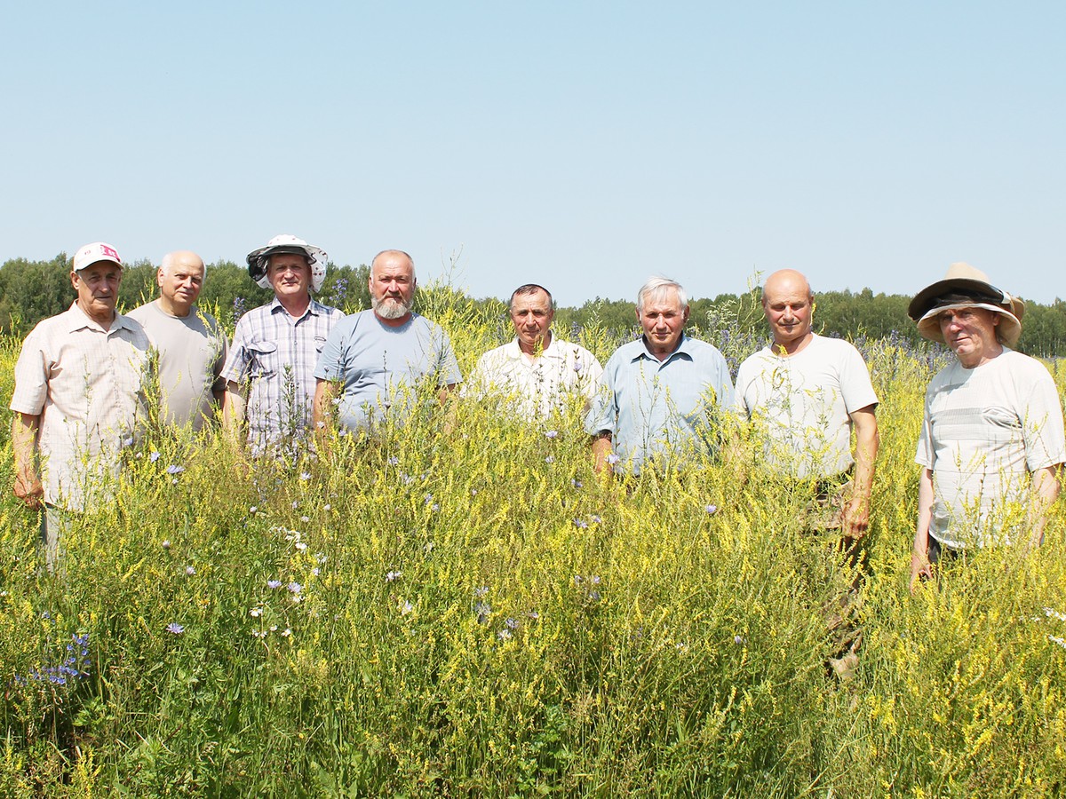 Один день на пасеке в Мяре