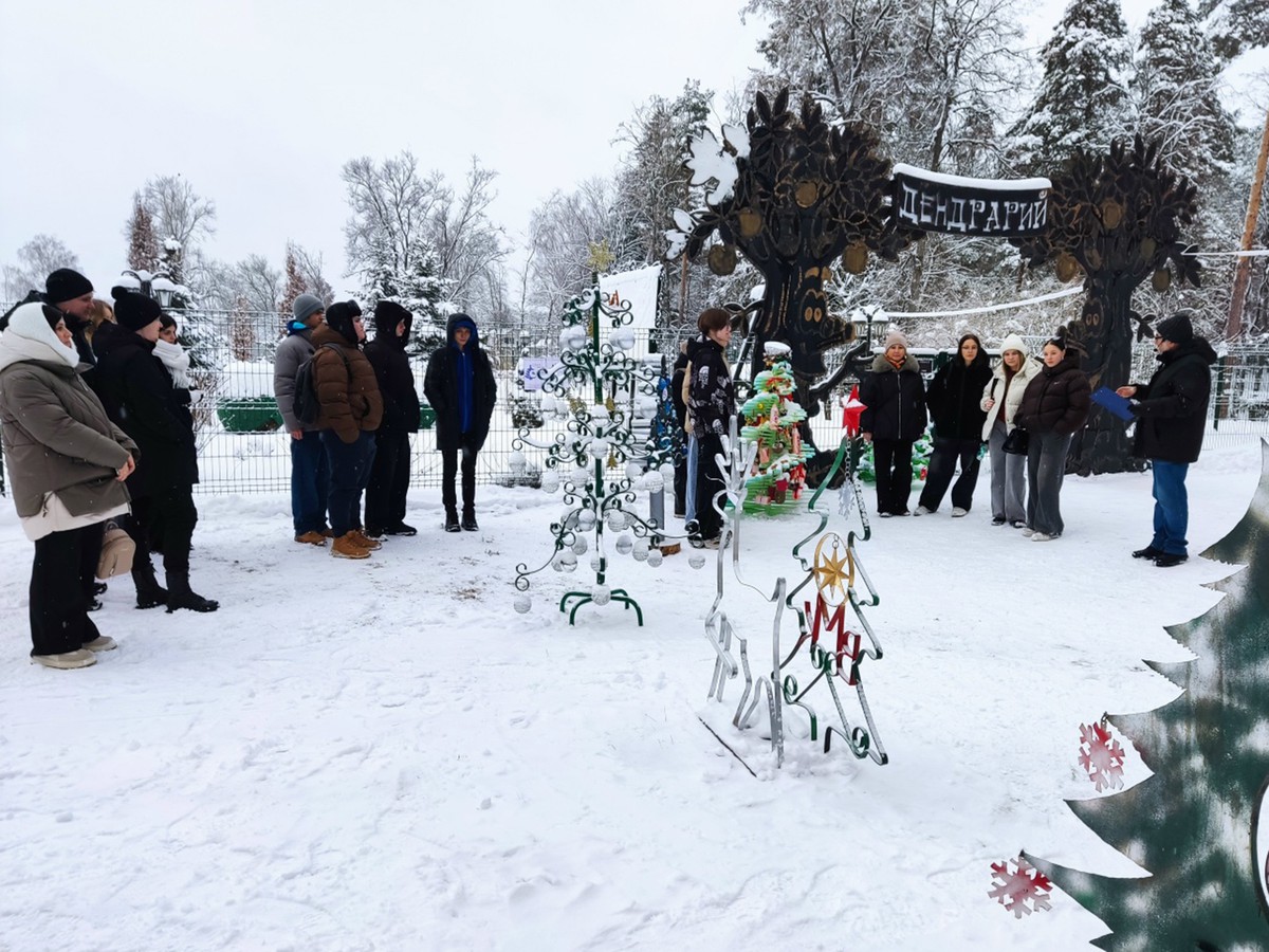 Стартовал шестой конкурс «ЁлкаПРОФИ-2026»