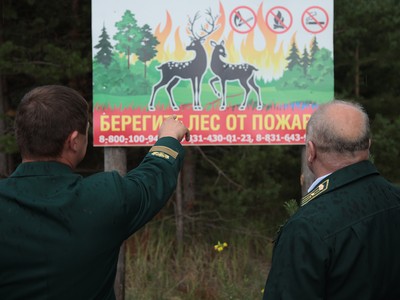 В лесах Нижегородской области с 24 апреля установлен пожароопасный сезон
