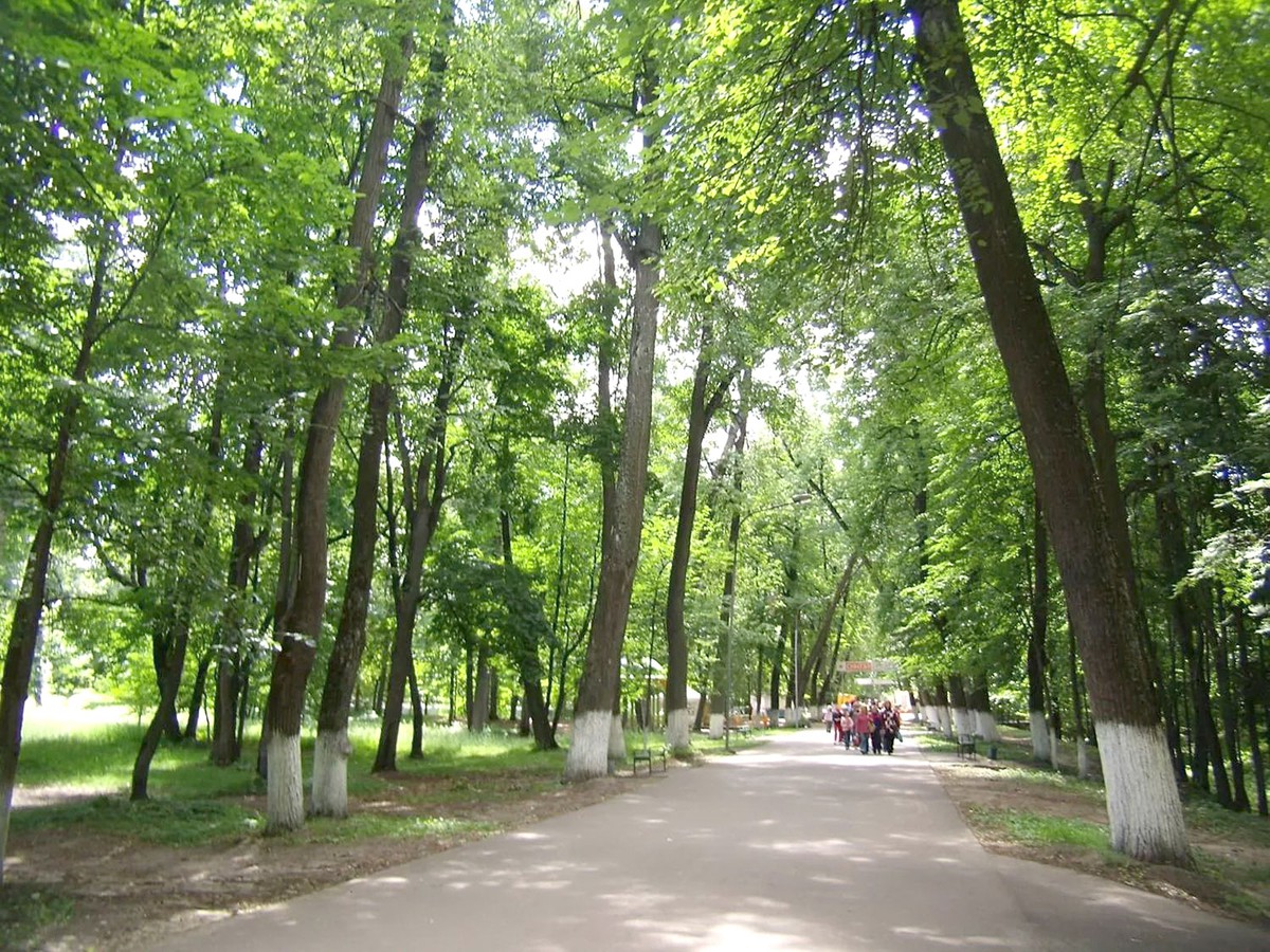 Парк меняет облик