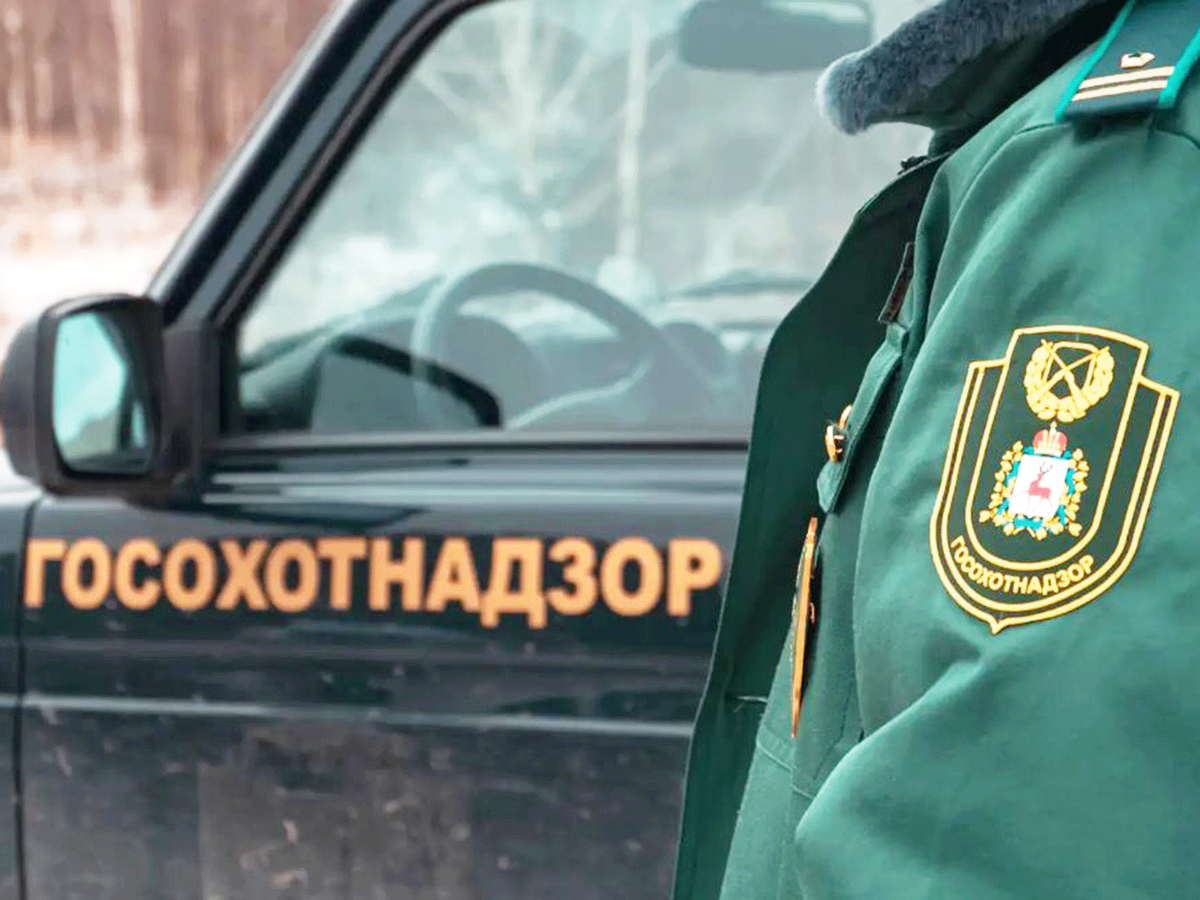 Более 30 нарушений в сфере охоты выявлено в области с начала года