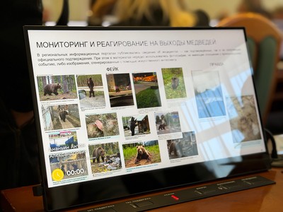 На заседании Заксобрания региона обсудили ситуацию с медведями