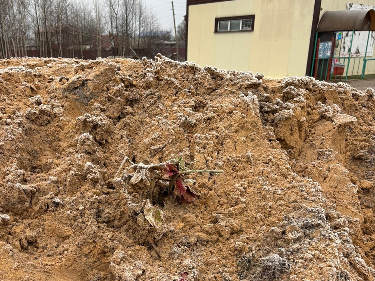 Администрация взяла на контроль инцидент с искусственными цветами в песке