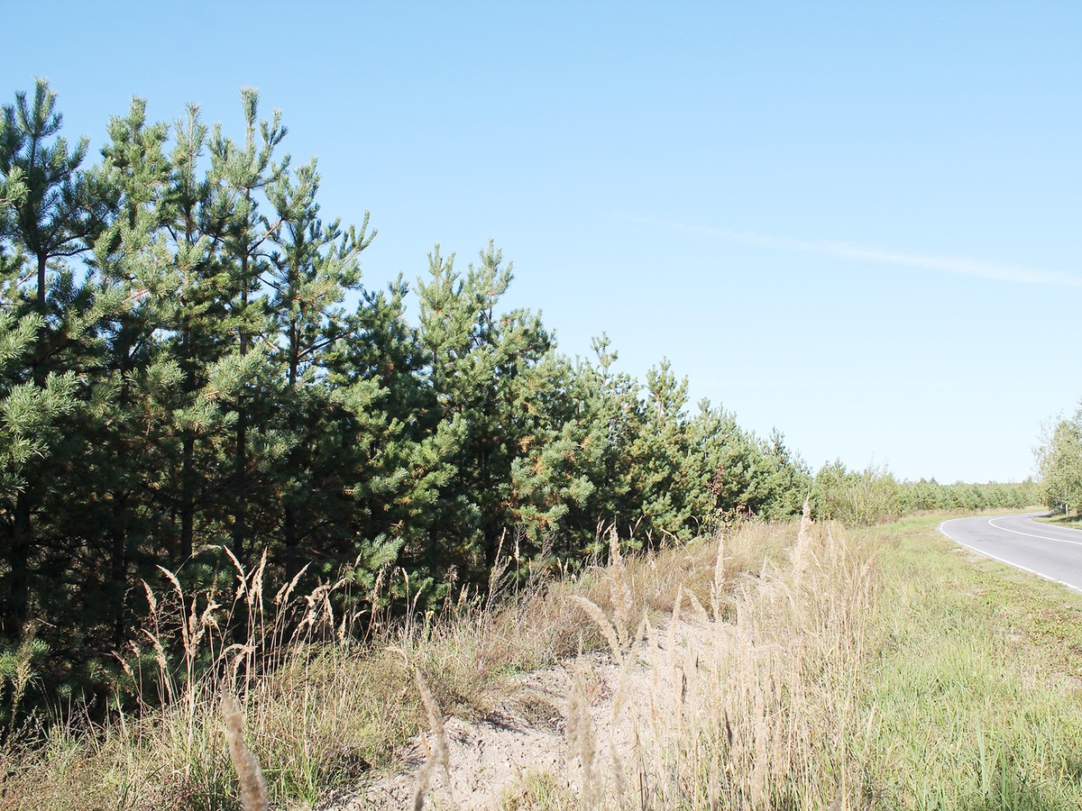 Лесники переходят на беспилотники