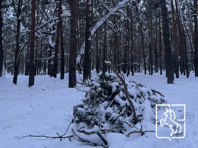 Выксу накрыл циклон