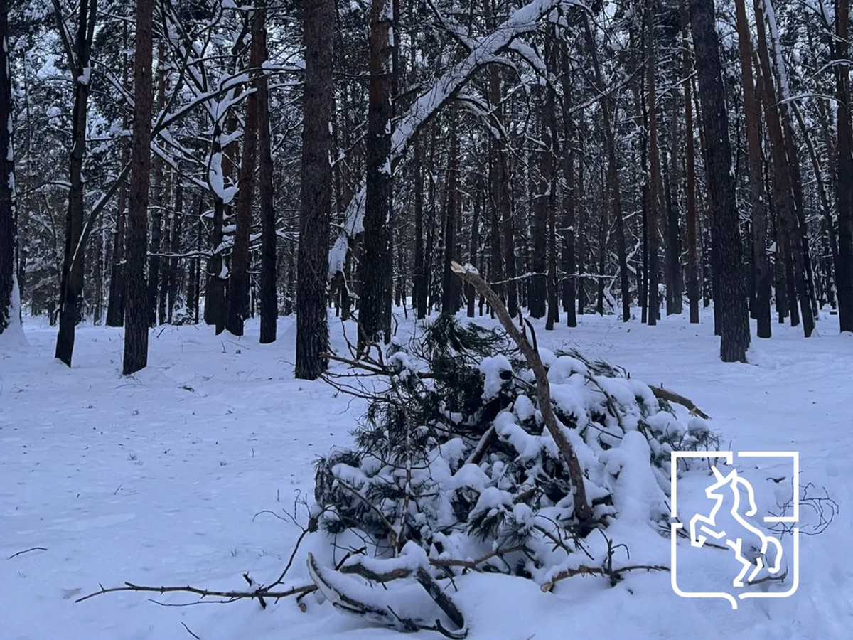 Выксу накрыл циклон