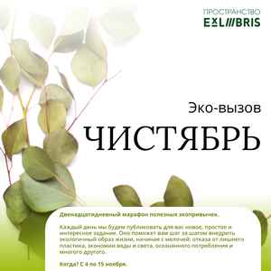 Эко-вызов «Чистябрь»