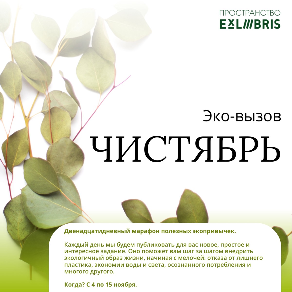 Эко-вызов «Чистябрь»
