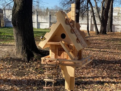 Для белок сделали новые кормушки