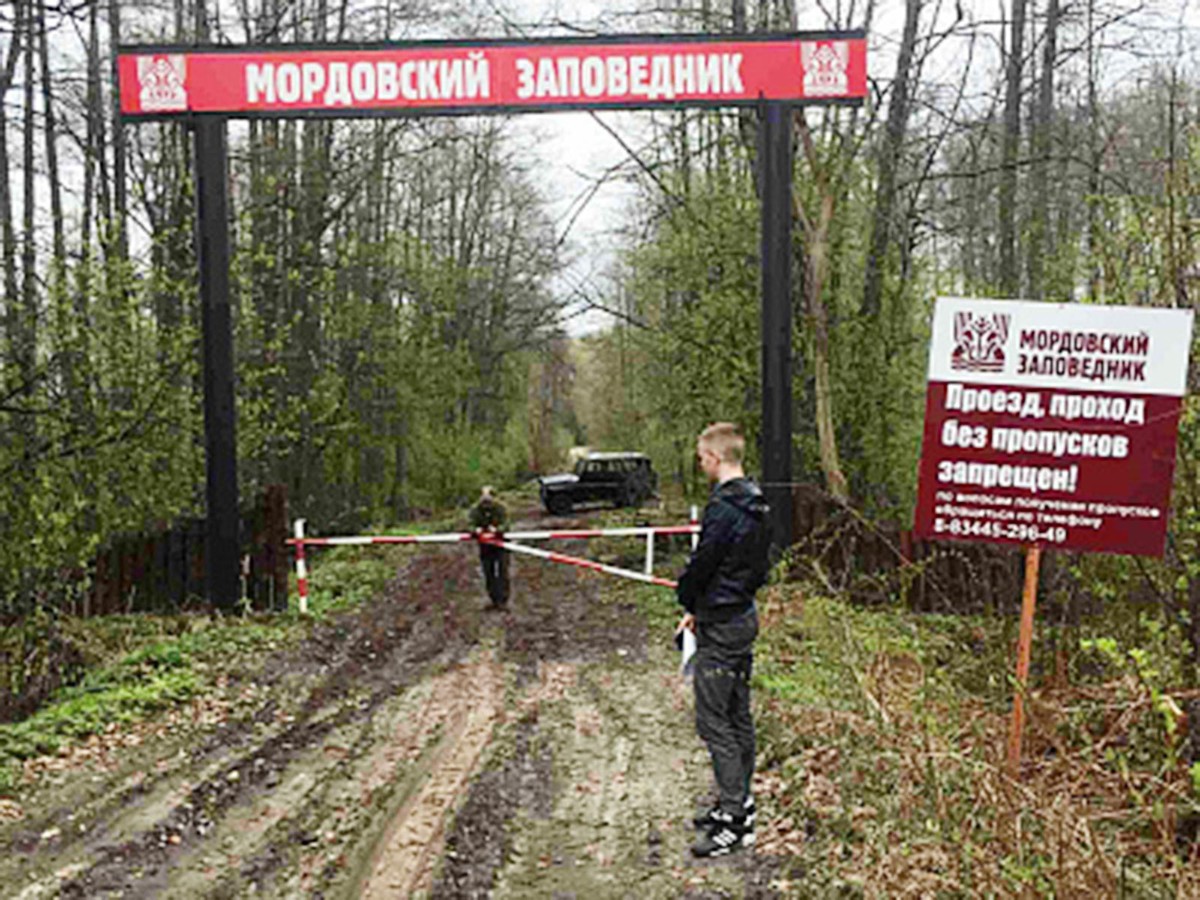 Мордовский заповедник к началу пожароопасного сезона не готов