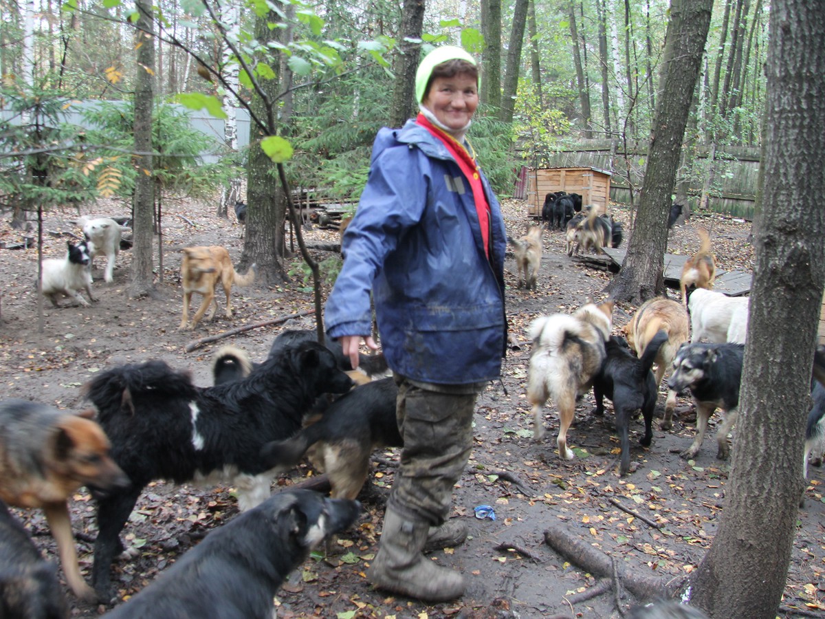 Собаки как люди: и любят, и завидуют