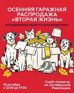 Благотворительная гаражная распродажа в поддержку приюта «Вторая жизнь»