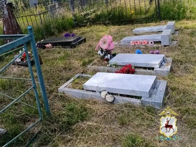 Четверых детей подозревают в повреждении памятников на кладбище