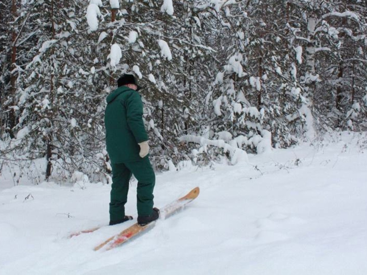 Более 12 тысяч километров пройдут охотоведы в поисках следов диких животных