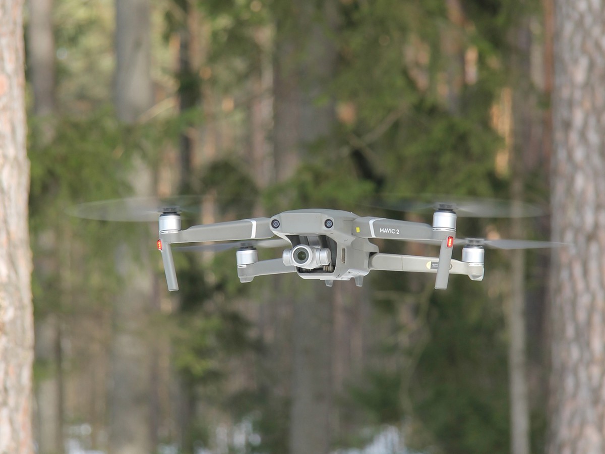 Беспилотник  летит над лесом