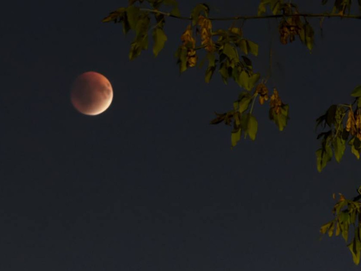 Жители Нижегородской области могли наблюдать полное лунное затмение