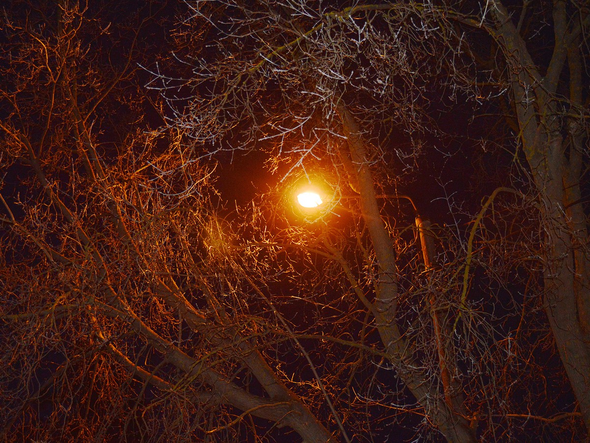 В сквере между школами №1 и №9 в микрорайоне Жуковского появится освещение