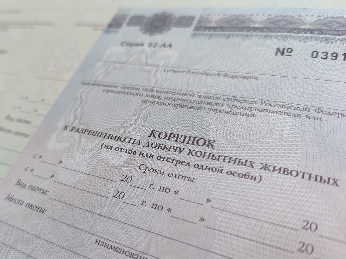 Стартовал приём заявлений на участие в жеребьёвке для добычи копытных животных и медведя