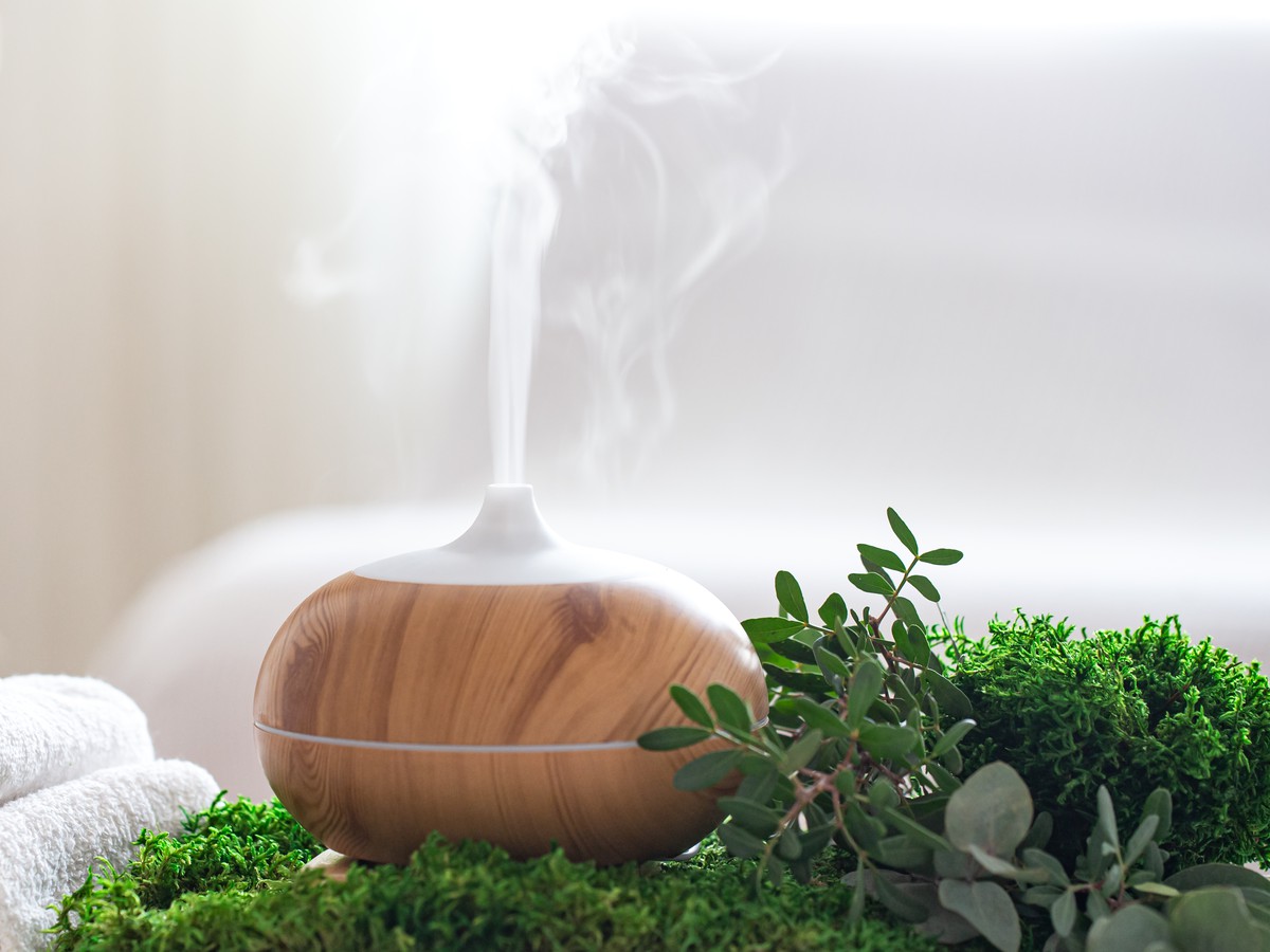 Как быть, когда в квартире слишком сухой воздух