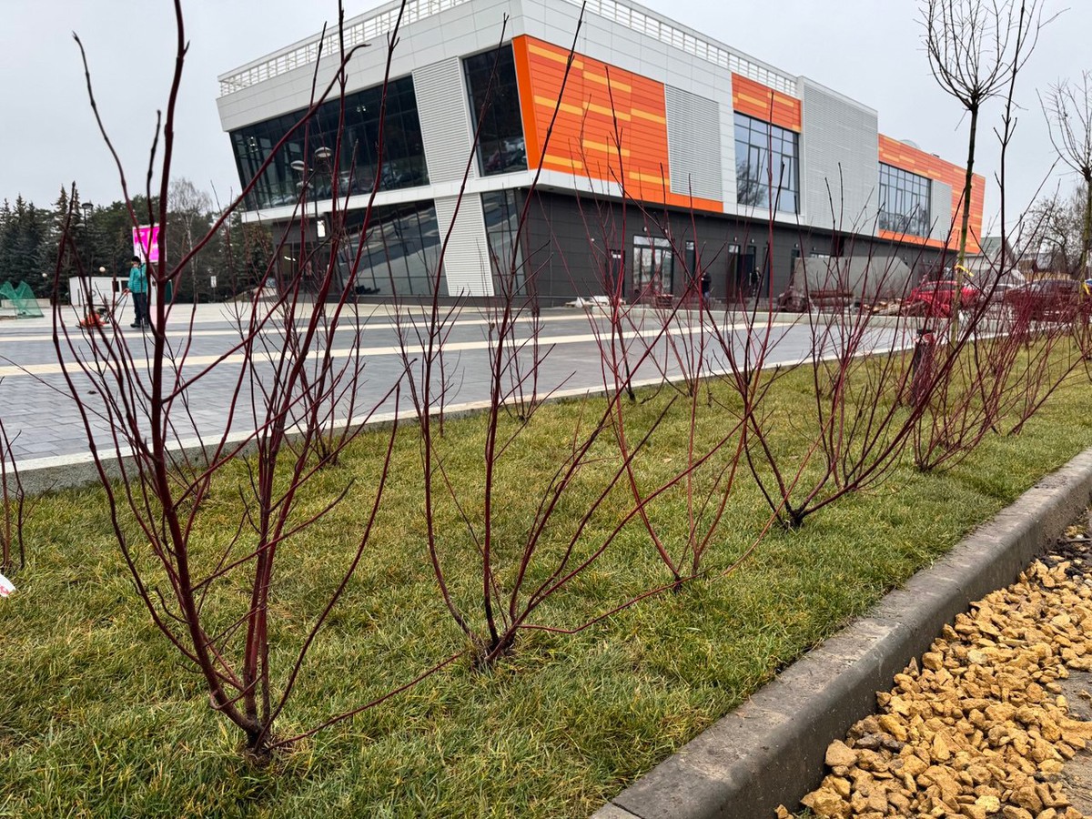 На объектах благоустройства начался этап озеленения