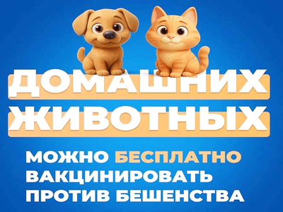 С заботой о друге