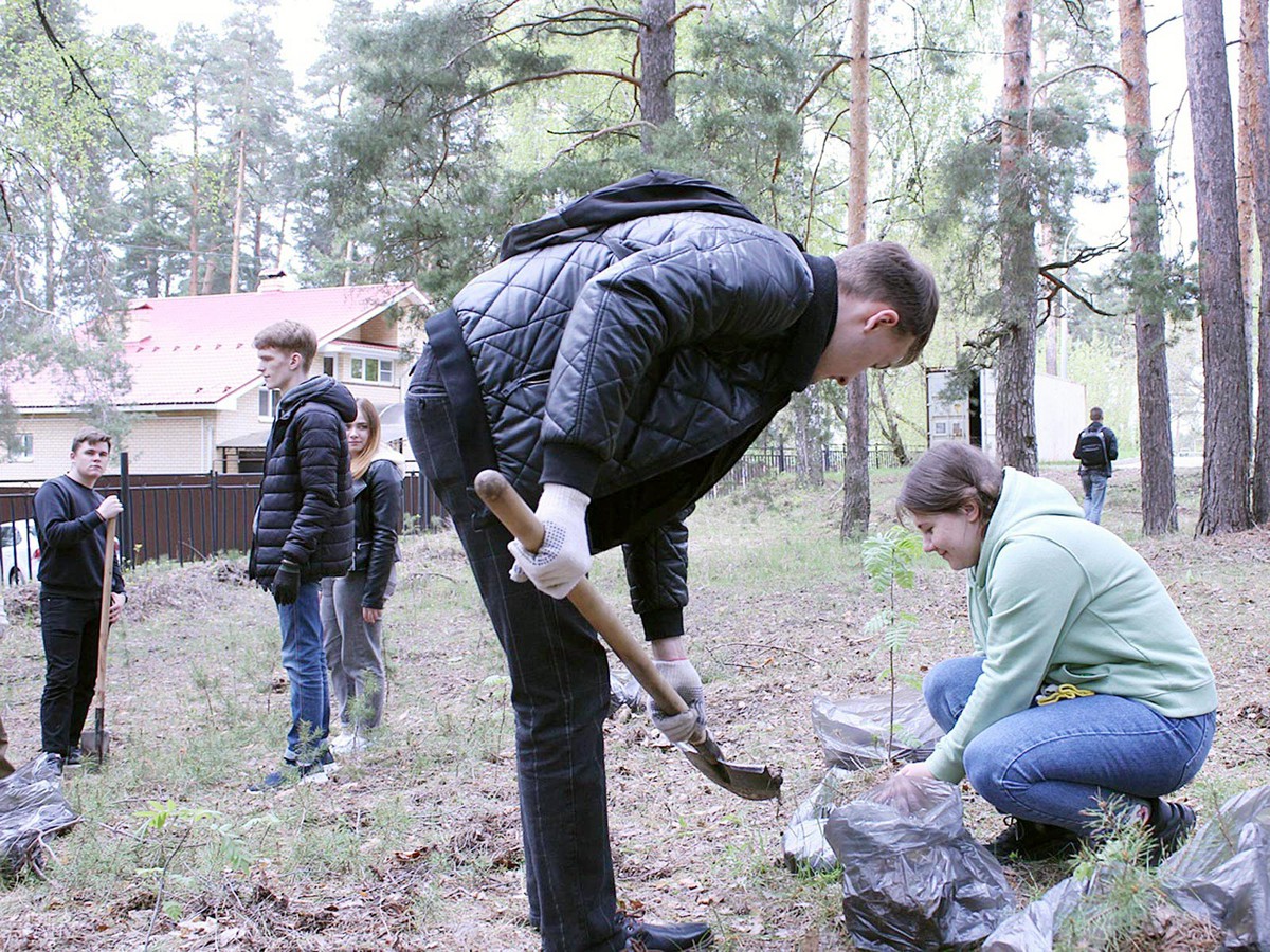 Быть добру вместе. Железная сосна Выкса.