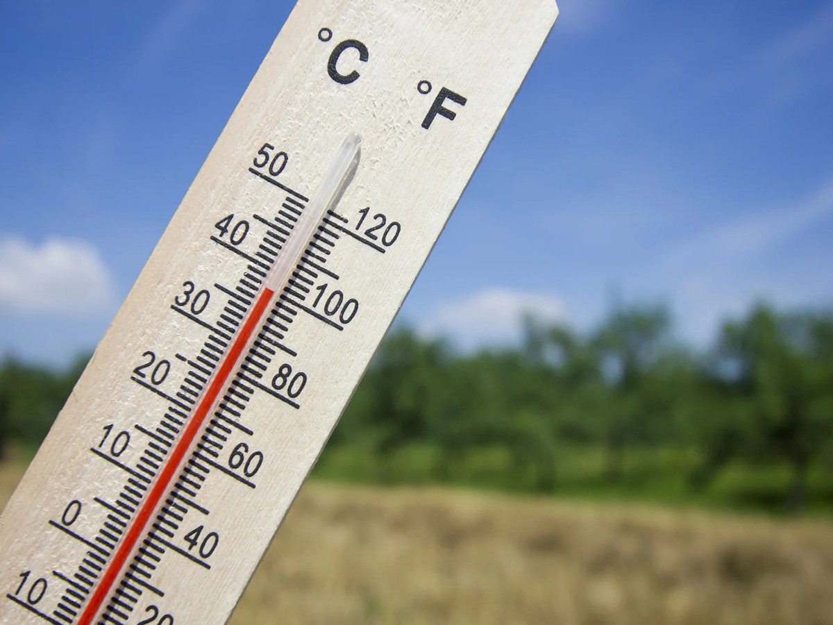 Как выжить в жару