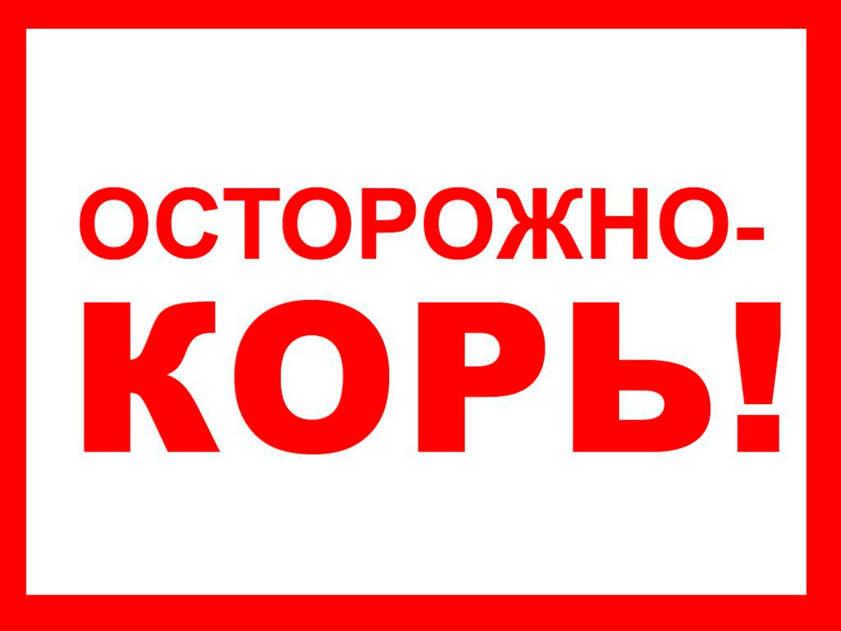 Корь обнаружена у 14 человек