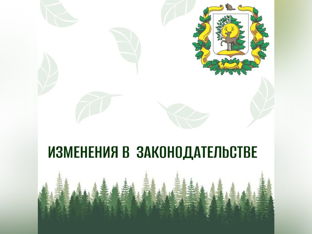 Вредителей леса будут уничтожать более эффективно