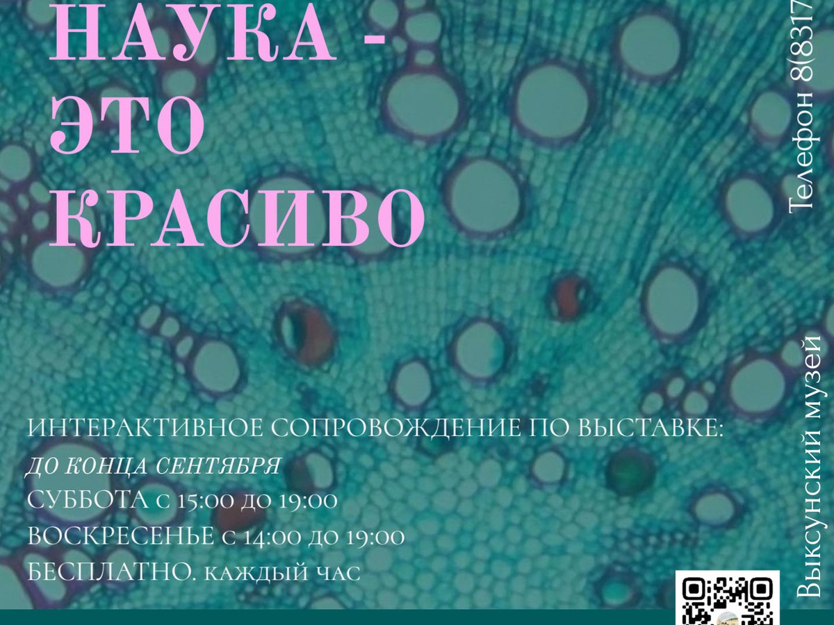 Выставка «Наука – это красиво» продлена