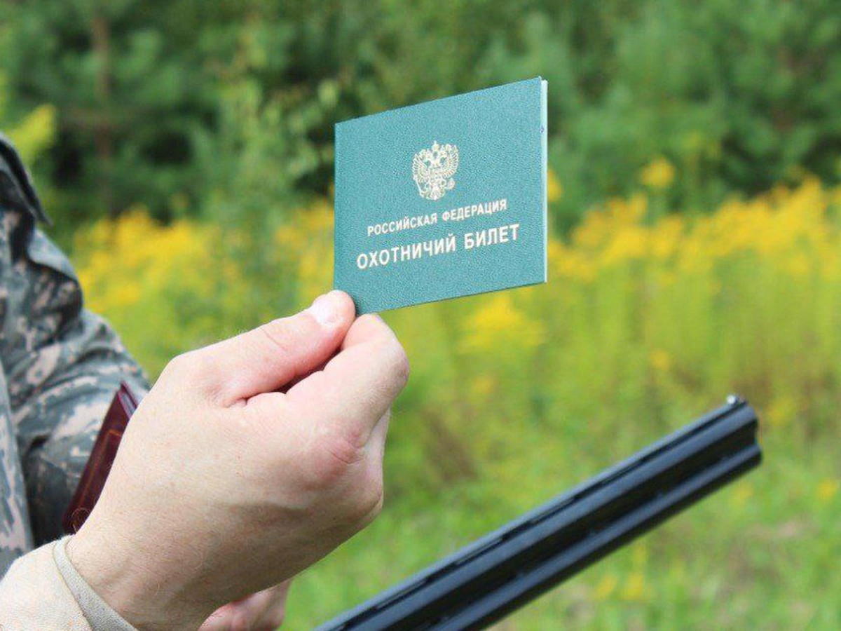 Разрешено добывать копытных животных и медведя