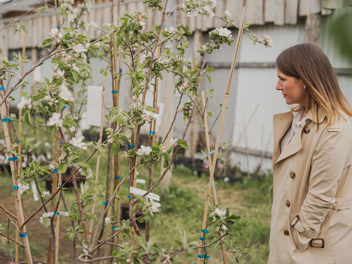 Более девяти тысяч металлургов приобрели товары для сада