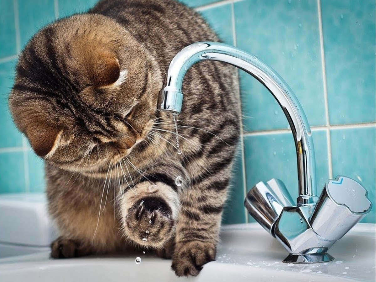 В микрорайоне Дружба отключили холодное водоснабжение