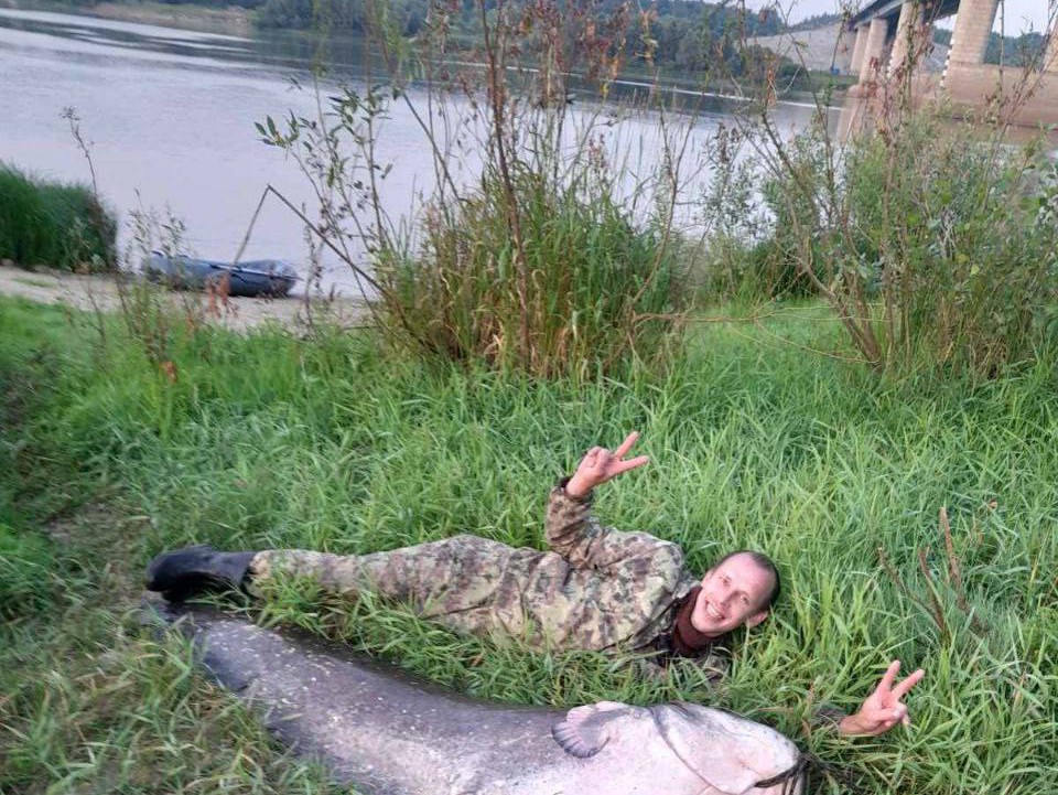 В Оке поймали ещё одного гигантского сома